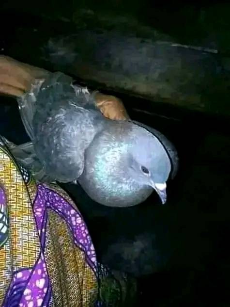 ♻Bring Back {{+27672740459]] Lost Love Spells, Best Death Spells Caster / Revenge, Wealthy Rituals Spells ♻in Australia, New York City, Texas.